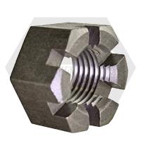 Slotted Hex Nuts