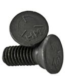 No.3 Head Grade 5 Plain