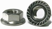 HEX SERRATED FLANGE LOCKNUT ZINC